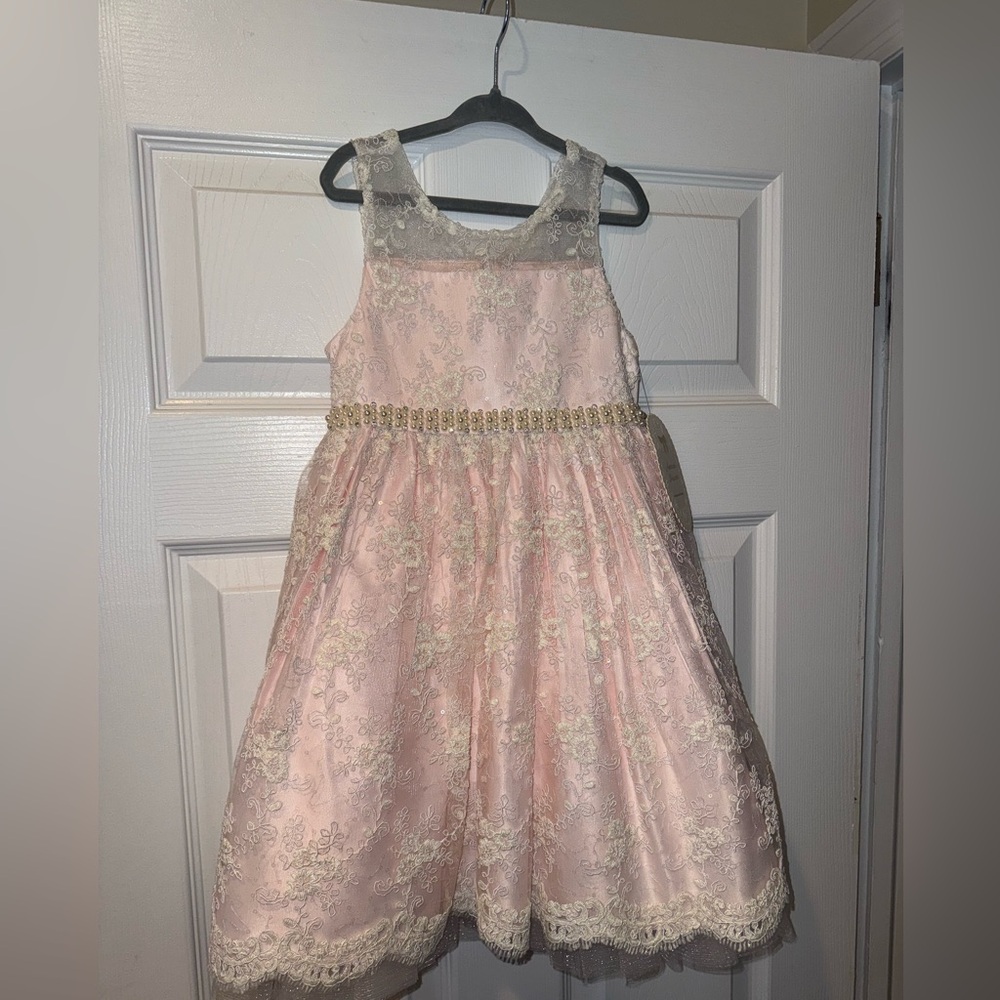 American princess Girls Pink Lace Party Dress
Size 5